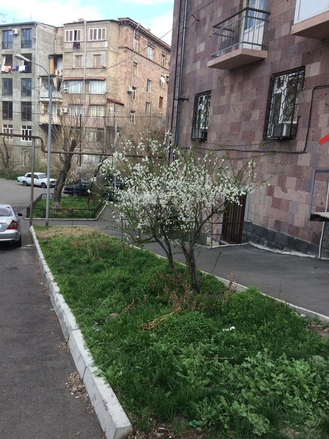 Apartment In The Center Of Erivan Dış mekan fotoğraf